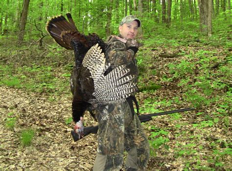 Hunt Turkeys Successfully - factsungle