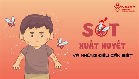 Sốt xuất huyết và những điều cần biết - Viện Huyết học - Truyền máu Trung ươngViện Huyết học ...