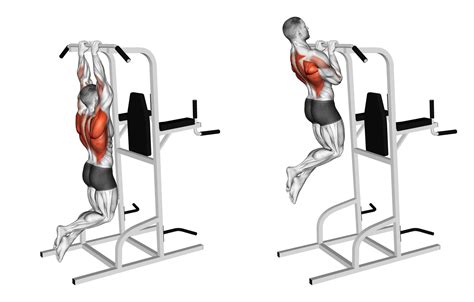 Wide Grip vs Close Grip Pull Ups: Differences Explained - Inspire US