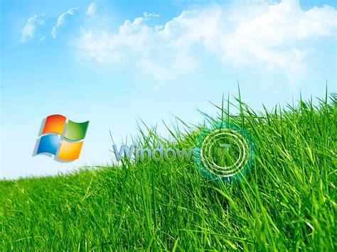 Wallpapers Box: Windows 7 Green Bliss High Definition Wallpapers ...