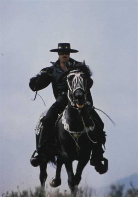 New World Zorro - Toronado | Zorro, The legend of zorro, War horse