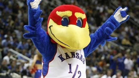 Mizzou, K-State fans mock KU mascot’s regrettable (and now deleted) tweet