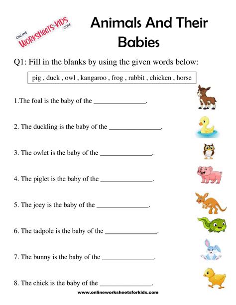 1st Grade Animal And Babies Worksheet