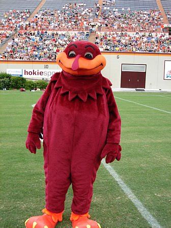 The Daily Vampire: Silly Photo to Fill Space- Hokie Bird