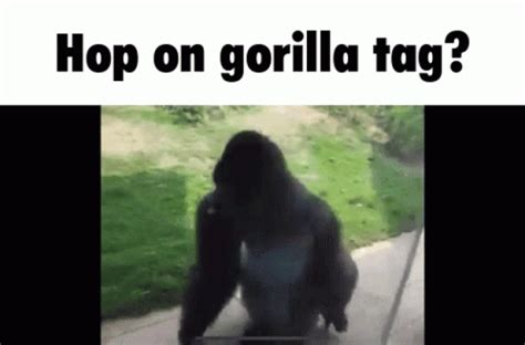 Gorilla Tag Gorilla GIF - Gorilla Tag Gorilla Spinning - Discover & Share GIFs