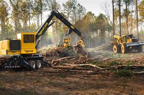 6 Tips and Tricks for Buying Quality Forestry Equipment - EDM Chicago