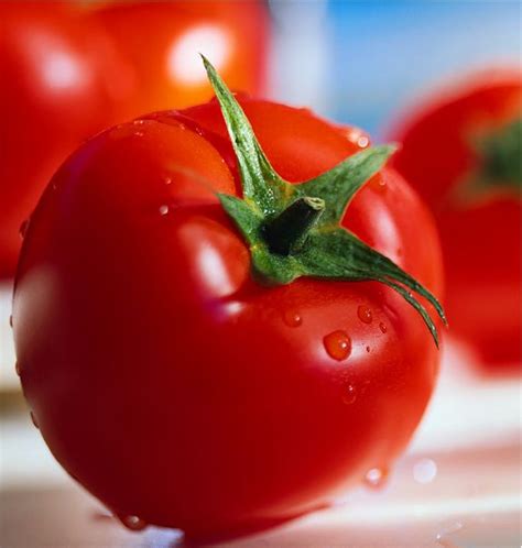 About Benefits and efficacy of Tomato Fruit | culinary vacations