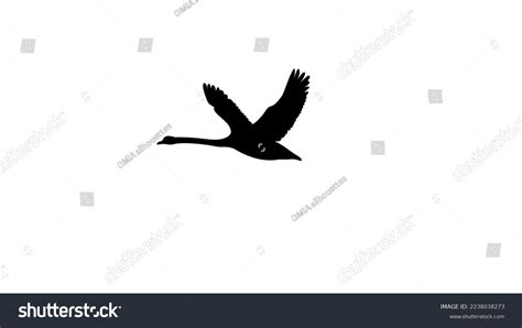 Swan Flying Silhouette Realistic Black Silhouette Stock Vector (Royalty Free) 2238038273 ...