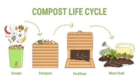 Can You Compost Rabbit Poop — Plus 4 Great Tips!