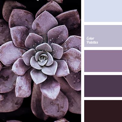 delicate colors for the bedroom | Color Palette Ideas