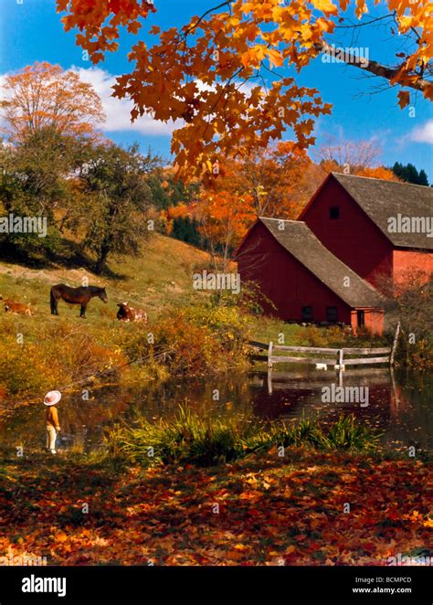 Barn animals farm fall autumn leaves Scenics Stock Photo - Alamy