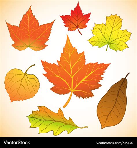 Fall leaves Royalty Free Vector Image - VectorStock