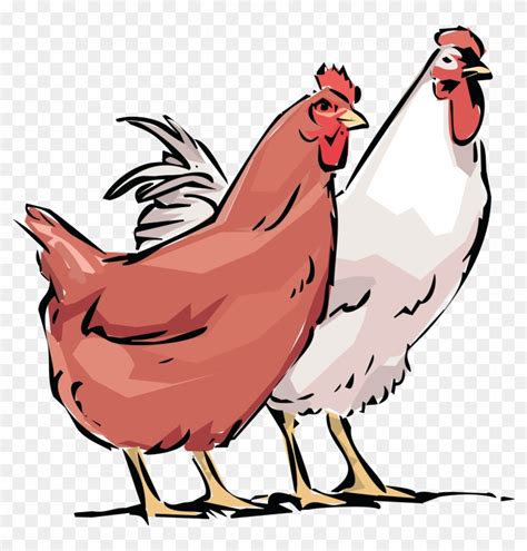 Ai, - Eps, - Svg, - Free Clipart Of A Chicken - Hen And Rooster With ...