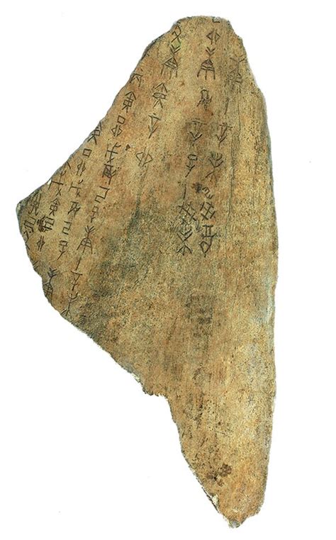 Shang Dynasty oracle bones get Unesco listing