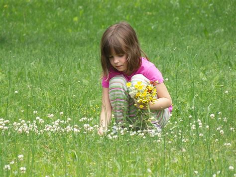 Picking Flowers Girl Child - Free photo on Pixabay - Pixabay