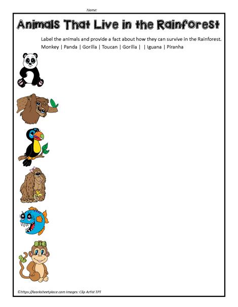 Rainforest Animals Worksheets