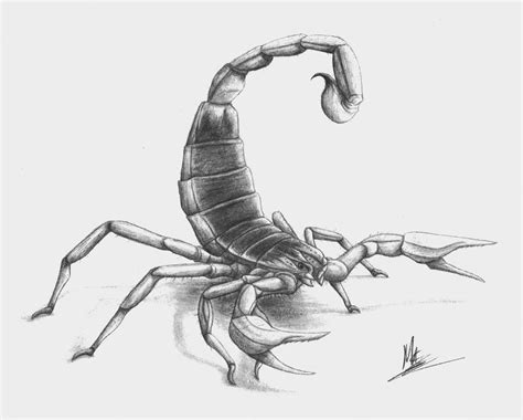 Scorpion by Giganotosaur on deviantART