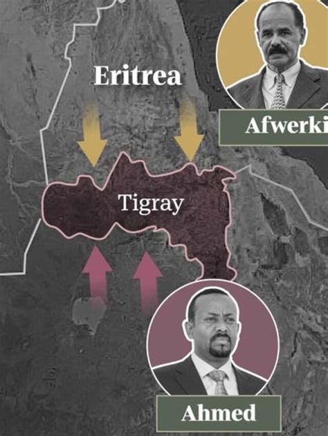 The conflict in Ethiopia's Tigray region - See Africa Today