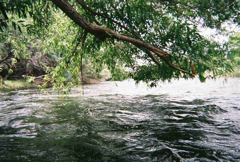 Salt River Tubing Photos - Tubing the Salt in Phoenix