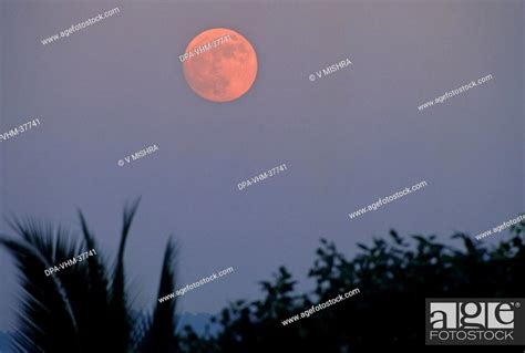 Full Moon rise, Stock Photo, Picture And Rights Managed Image. Pic. DPA ...