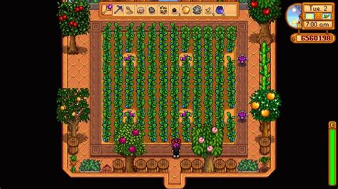 Best Stardew Valley Greenhouse layout: Trees, sprinklers, best crops, more - Charlie INTEL