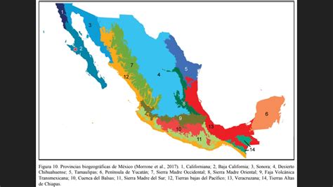 Provincia biogeográfica: Sierra Madre del Sur - YouTube