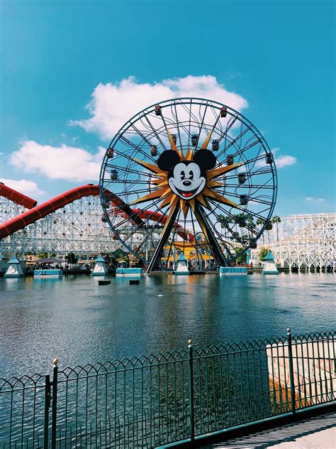 𝙿𝚒𝚗𝚝𝚎𝚛𝚎𝚜𝚝: 𝚑𝚊𝚕𝚎𝚢 𝚐𝚒𝚊𝚟𝚊𝚛𝚊 | Disney photo ideas, Disney photos, Disneyland