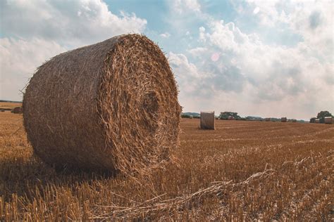 Straw Bales Free Stock Photo - Public Domain Pictures