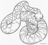 Free Printable Snake Coloring Pages For Kids sketch template