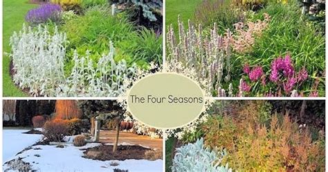 A GUIDE TO NORTHEASTERN GARDENING: The Four Seasons of Gardening-Garden ...