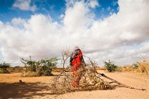 Dadaab refugee camp | Dadaab refugee camp, Refugee camp, Refugee