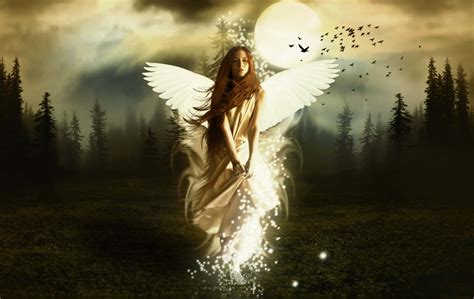 Download Cute Angel In The Middle Of Forest Wallpaper | Wallpapers.com