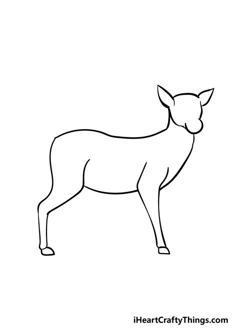 Deer Drawing - How To Draw A Deer Step By Step!