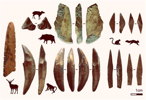 48,000-Year-Old Arrowheads Unearthed in Sri Lanka | Sci.News