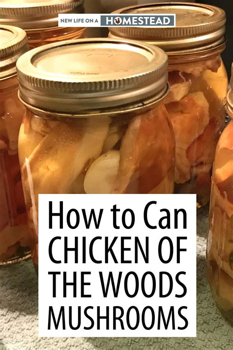 Chicken of the woods mushroom recipes – Artofit