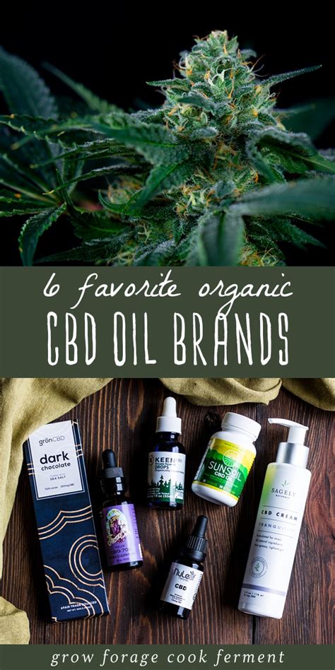 6 Favorite Organic CBD Oil Brands