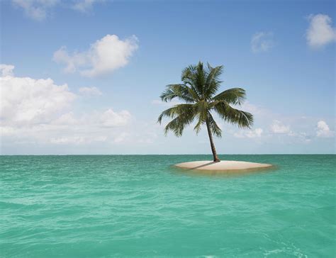 Lone Palm Tree On Small Island Photograph by John Lund - Fine Art America