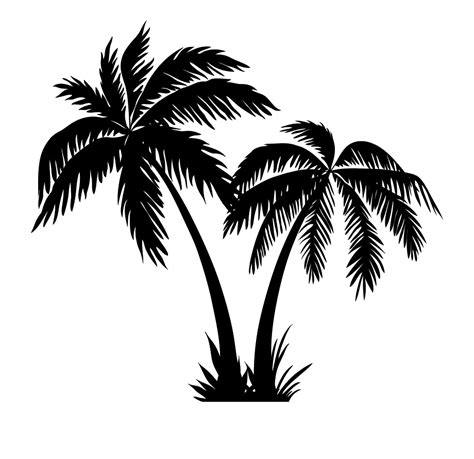 Beach Coconut Tree PNG Transparent Images - PNG All