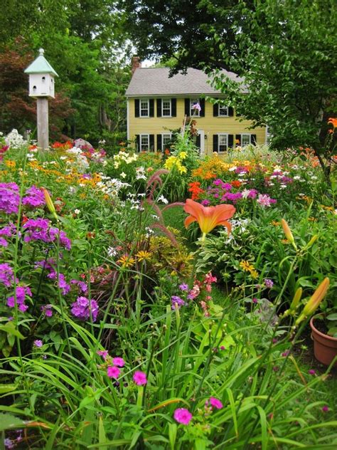 Landscaping with Daylilies: 10+ handpicked ideas to discover in ...