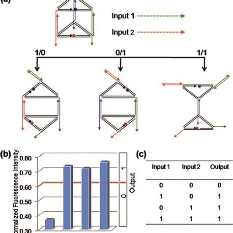 The binary “OR” logic gate. (a) Diagram of the operational design of... | Download Scientific ...