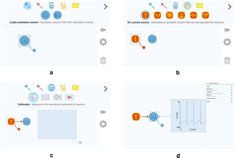 Step-by-step illustration of how to build a simple neural circuit in... | Download Scientific ...