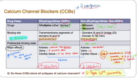 Difference Between Dhp And Non-dhp Ccb Cheap Sale | fast-lisa.unibo.it