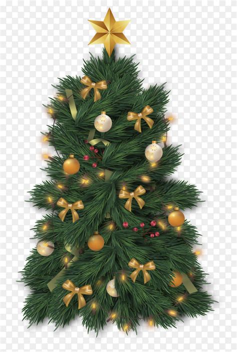 Modern realistic Christmas tree on transparent background PNG - Similar PNG