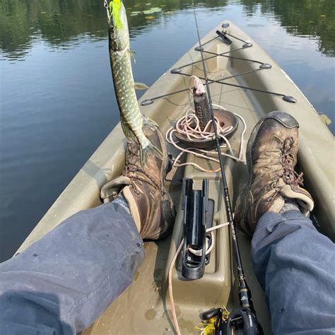 ᐅ Lake Memphremagog fishing reports🎣• VT, United States fishing