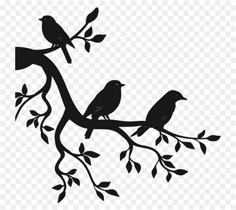 two birds sitting on the branch of a tree, with leaves and branches in silhouette