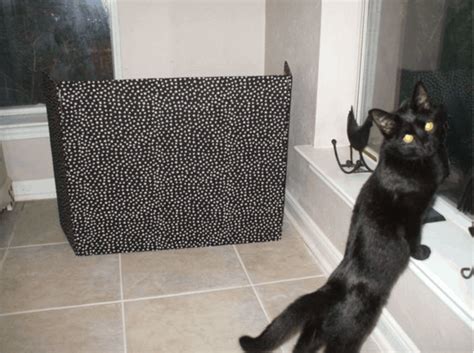 Best DIY Hidden Cat Litter Box Ideas You Need to Know Of - OliveKnows