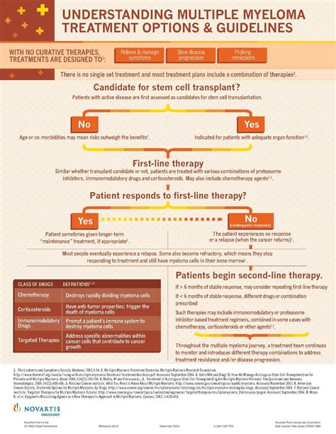 Understanding Multiple Myeloma Treatment Options & Guidelines | Multiple myeloma, Treatment plan ...