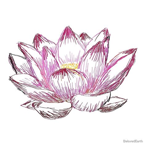 "Pink Lotus Line Drawing" by BelovedEarth | Redbubble