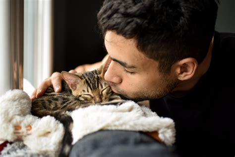 The Benefits Of Cat Cuddling | Toto Pet Insurance