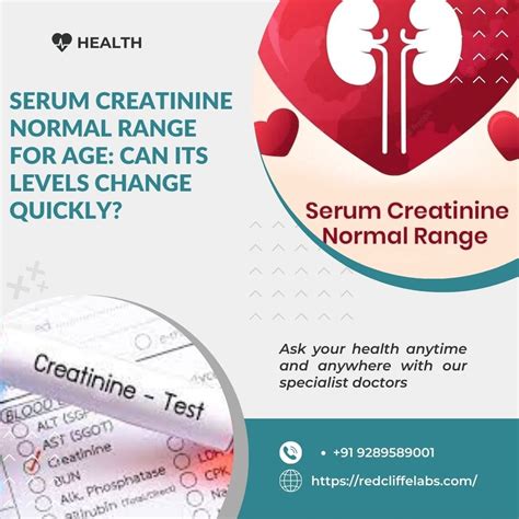 Serum Creatinine Normal Range for Age: Can its Levels Change Quickly ...